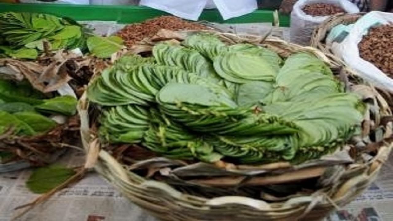 PHOTOS : इस नवरात्रि पान के पत्तों के साथ करें ये उपाय, आपकी परेशानी हो जाएगी चुटकियों में गायब