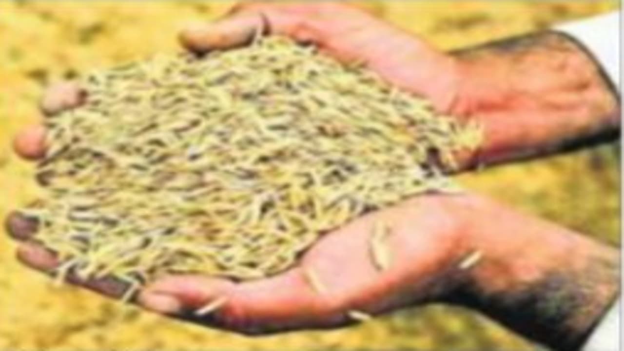 देवघर के बड़बाद पैक्स अध्यक्ष पर धान खरीद में गड़बड़ी का आरोप, दो साल में 3 गुना बढ़ा जमीन का रकबा