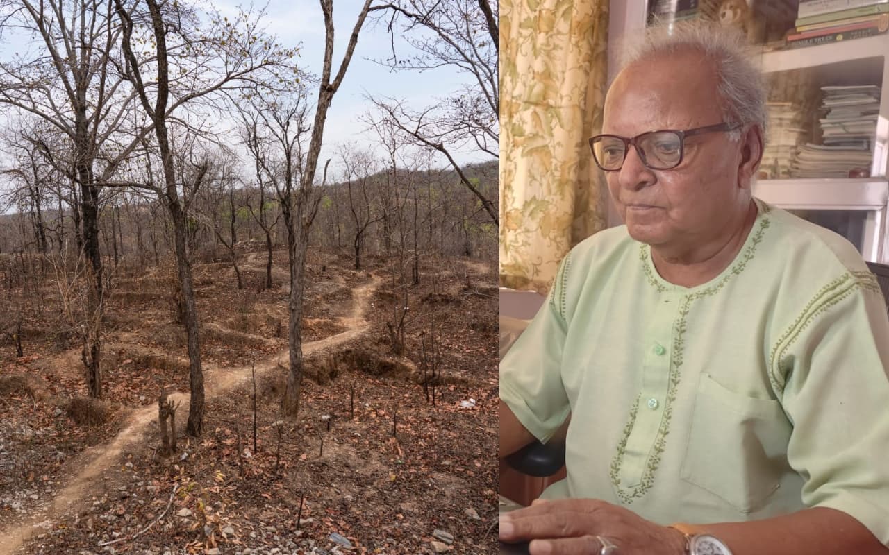 '2035 तक रेगिस्तान बन जाएगा पलामू का कई हिस्सा', पर्यावरणविद डॉ दयाशंकर श्रीवास्तव ने बताया