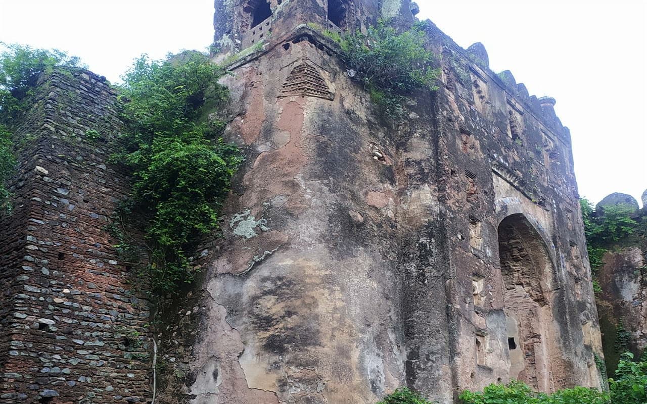 Jharkhand Foundation Day : जमींदोज होने को है पलामू किला, कहीं इतिहास में दफन न हो जाए, देखें तस्वीरें