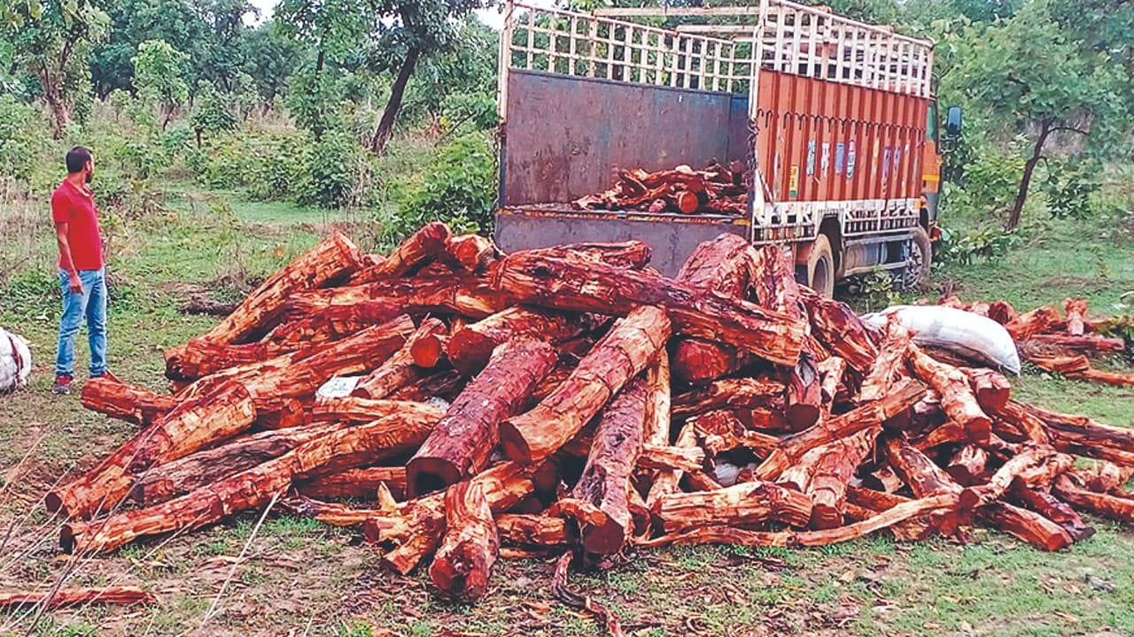 Palamu News: 20 लाख रुपये की खैर की लकड़ी लदा ट्रक जब्त, पंजाब के दो लोग गिरफ्तार