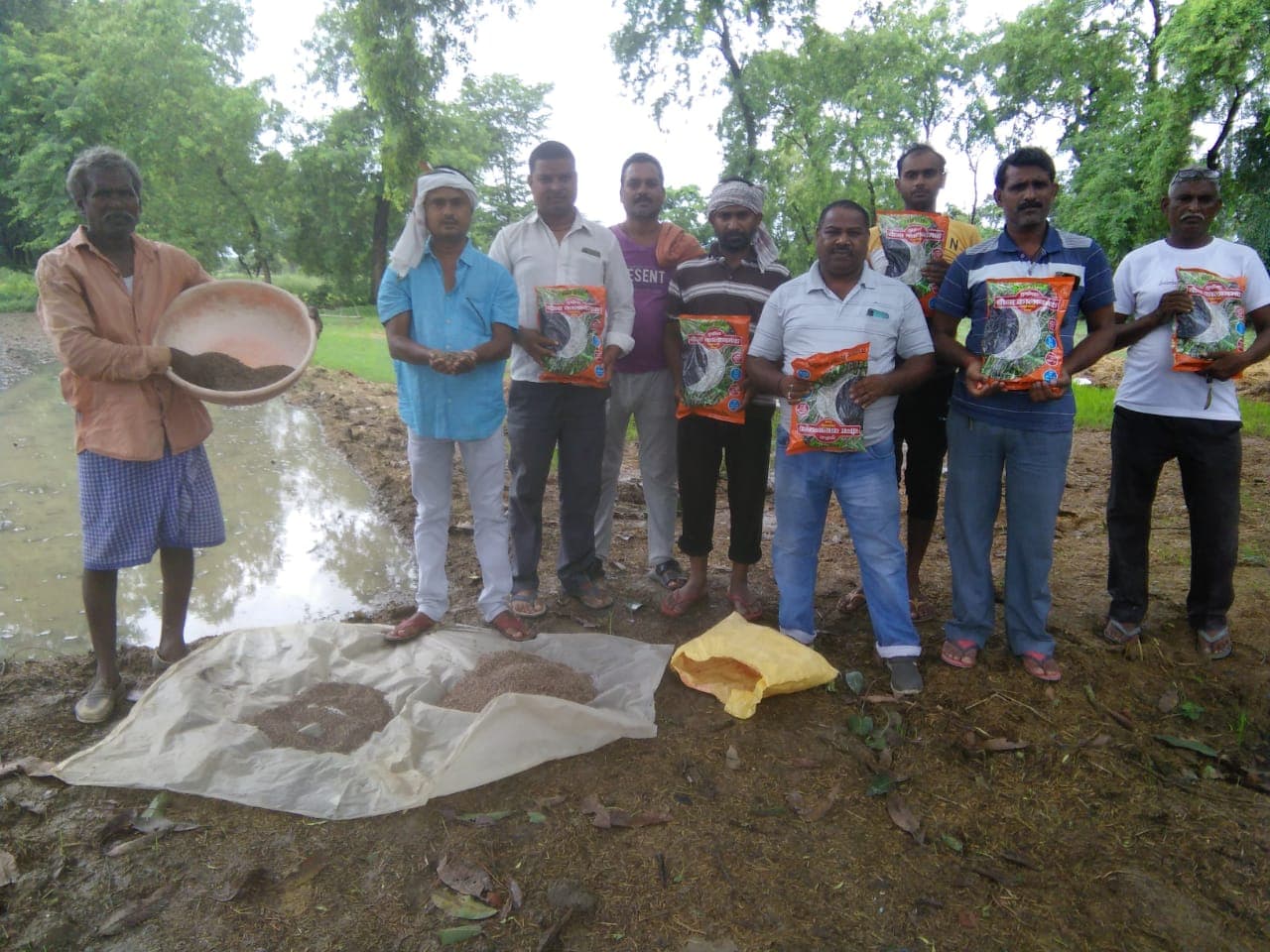 शुगर फ्री आलू के बाद पलामू में शुगर फ्री काला धान की खेती शुरू, इन बीमारियों में है फायदेमंद