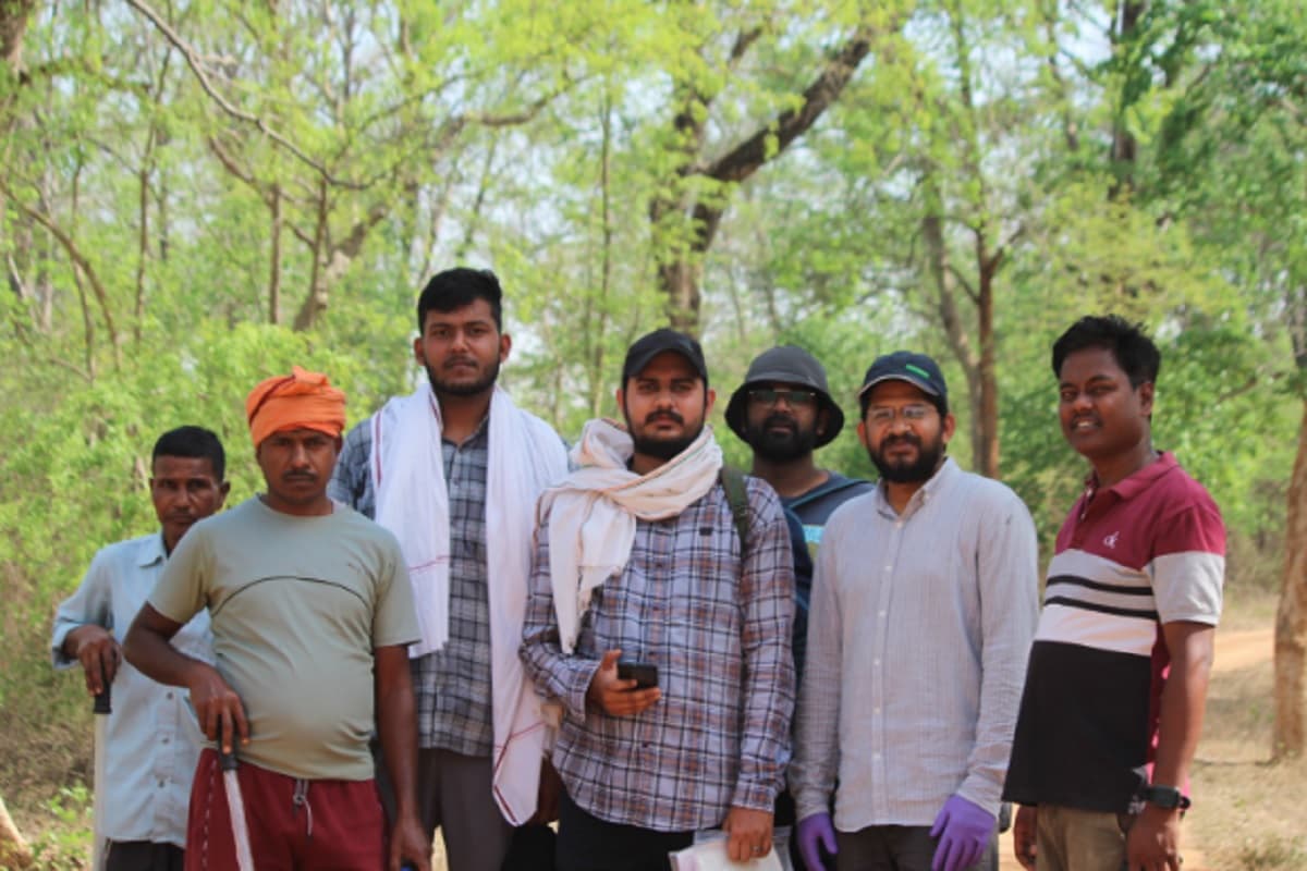 पलामू टाइगर रिजर्व में हाथियों की गिनती का कार्य शुरू, इस चीज को बनाया जाएगा आधार