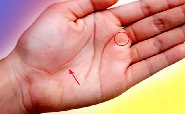 हस्तरेखा शास्त्र : शनि रेखा बताती है आपके  करियर की कहानी,जानें किन्हे होती है धन की प्राप्ति