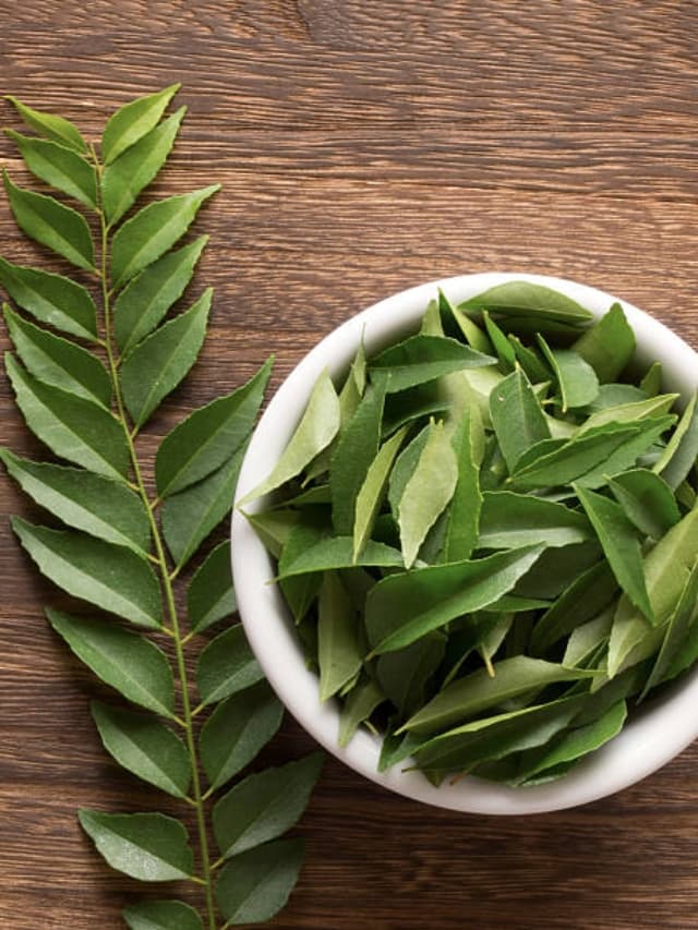 Lifestyle : करी पत्तों को लंबे समय तक कैसे करें स्टोर,आजमाएं ये आसान टिप्स