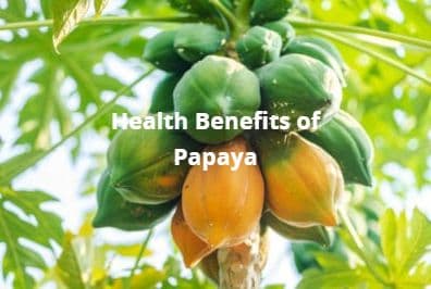 Health Tips: मोटापा और यूरिक एसिड में बड़े काम की चीज है पपीता, जानिए इसके और फायदे