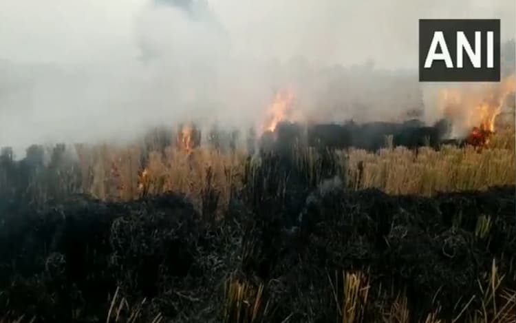 बिहार में ड्रोन को मिली नयी जिम्मेदारी, शराब के साथ अब पुआल की भी करेंगे निगरानी