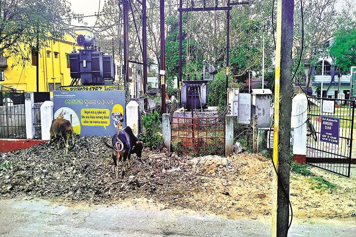 हॉकी विश्व कप समाप्त होते ही अर्श से फर्श पर उतरी व्यवस्था, सड़क किनारे जमा कर रहे पार्क की गंदगी