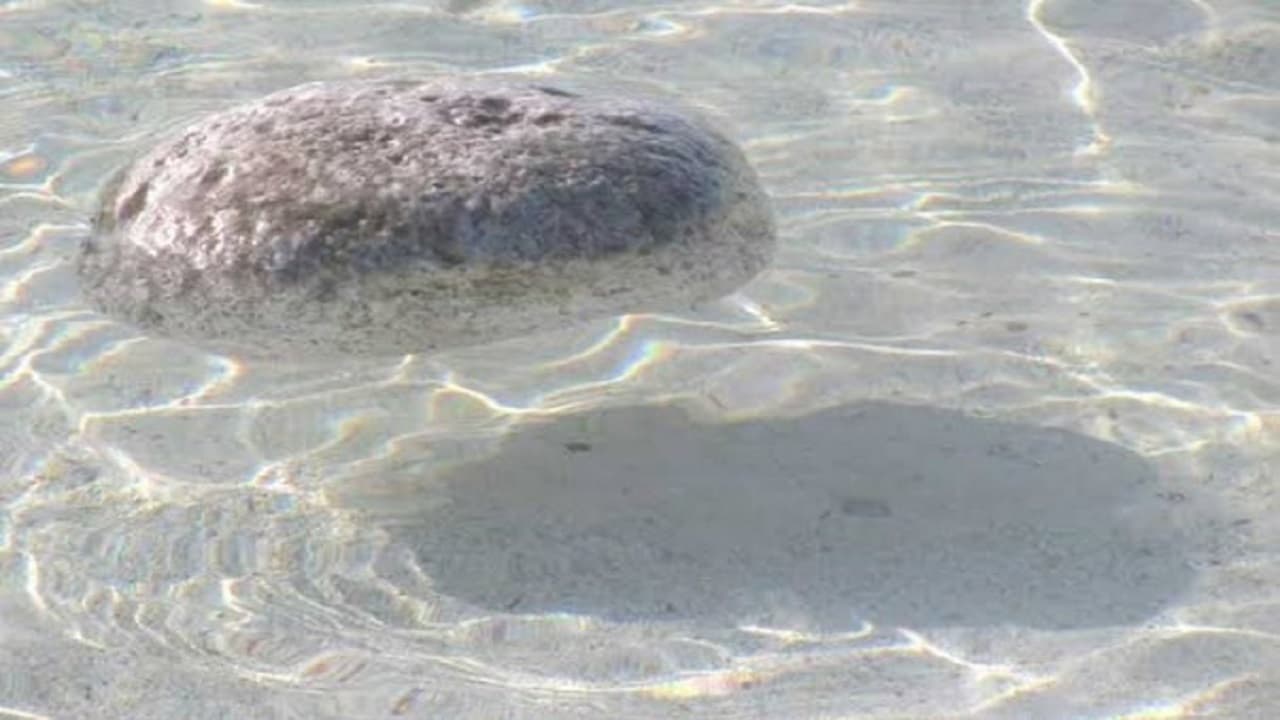 बिहार के इस जिले में पानी में तैरता है श्रीराम लिखा बड़ा पत्थर, दर्शन के लिए दूर- दूर से पहुंचते है भक्त