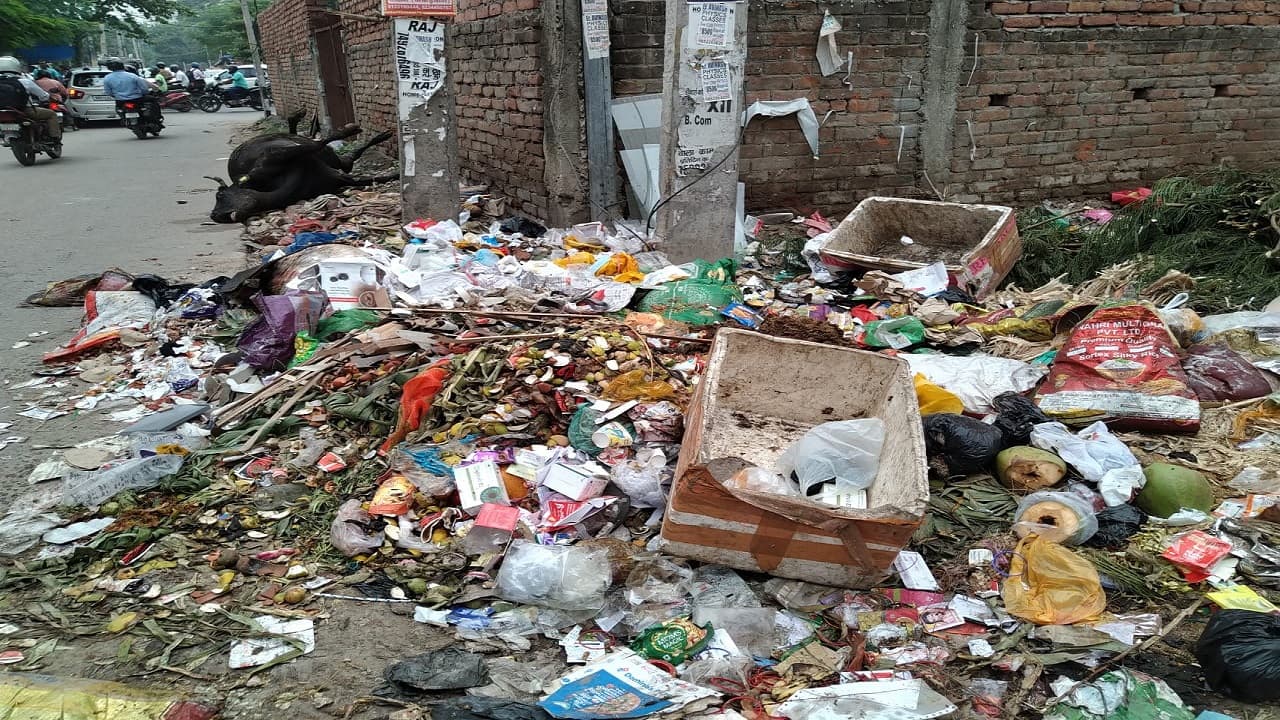 Siwan में नगर पर्षद के सफाईकर्मियों की हड़ताल 8 दिनों से जारी, गली से लेकर चौक-चौराहों तक गंदगी व दुर्गंध