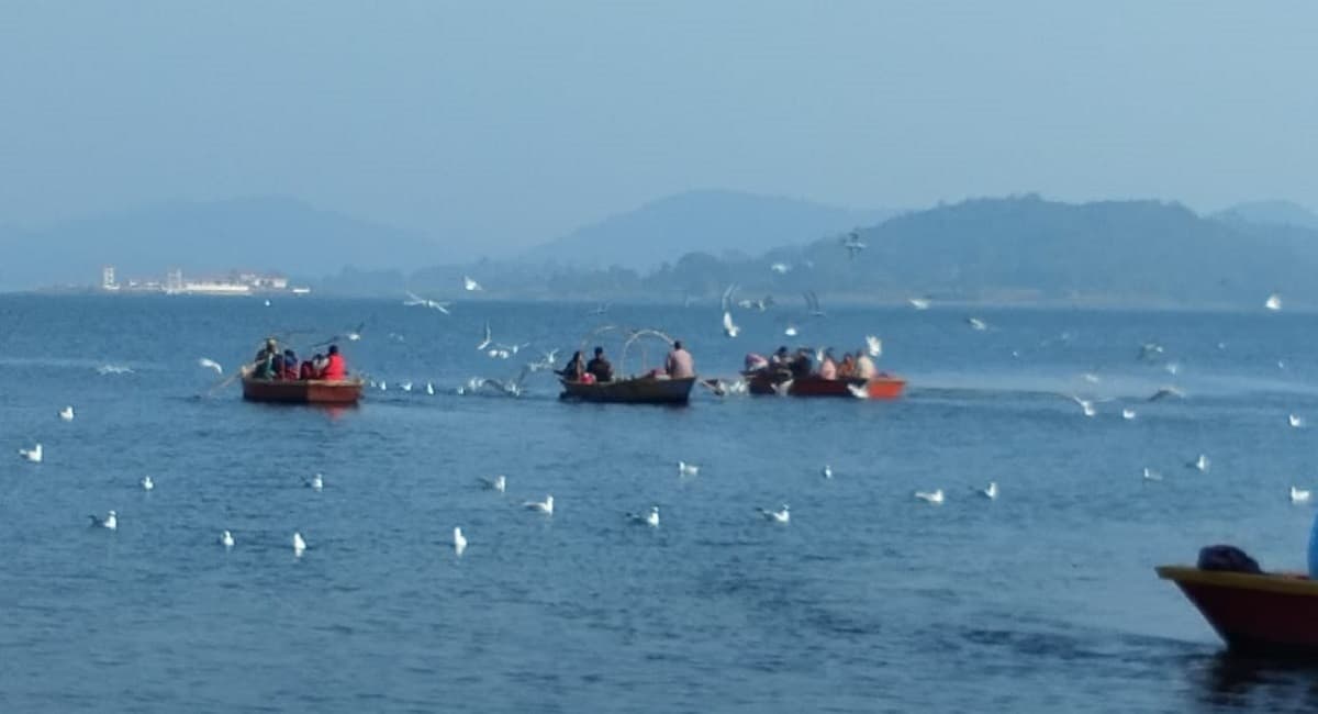 Jharkhand News : पर्यटकों को लुभा रहा पतरातू डैम, खूबसूरती में चार चांद लगा रहे साइबेरियन पक्षी