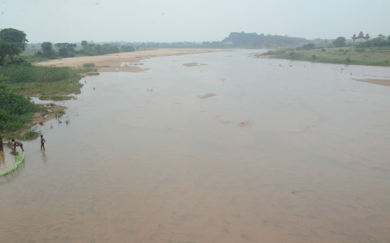 गंगा में विलुप्त हो रही मछलियों की देशी प्रजाति, रिवर फार्मिंग के तहत डाले जायेंगे चार लाख रेहू और कतला बीज