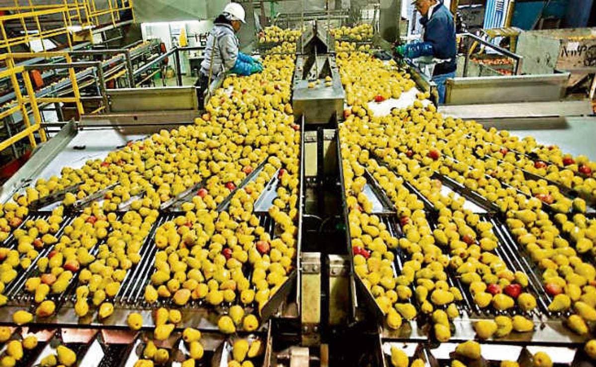 बिहार में फूड प्रोसेसिंग और सोलर एनर्जी में निवेश होंगे 392 करोड़ रुपये, मिली बैंकिंग मंजूरी