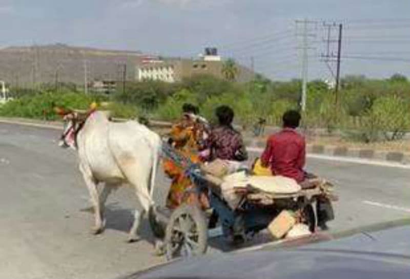 लॉकडाउन में घर पहुंचने के लिए बैलगाड़ी में जुता तंगहाल, वीडियो वायरल