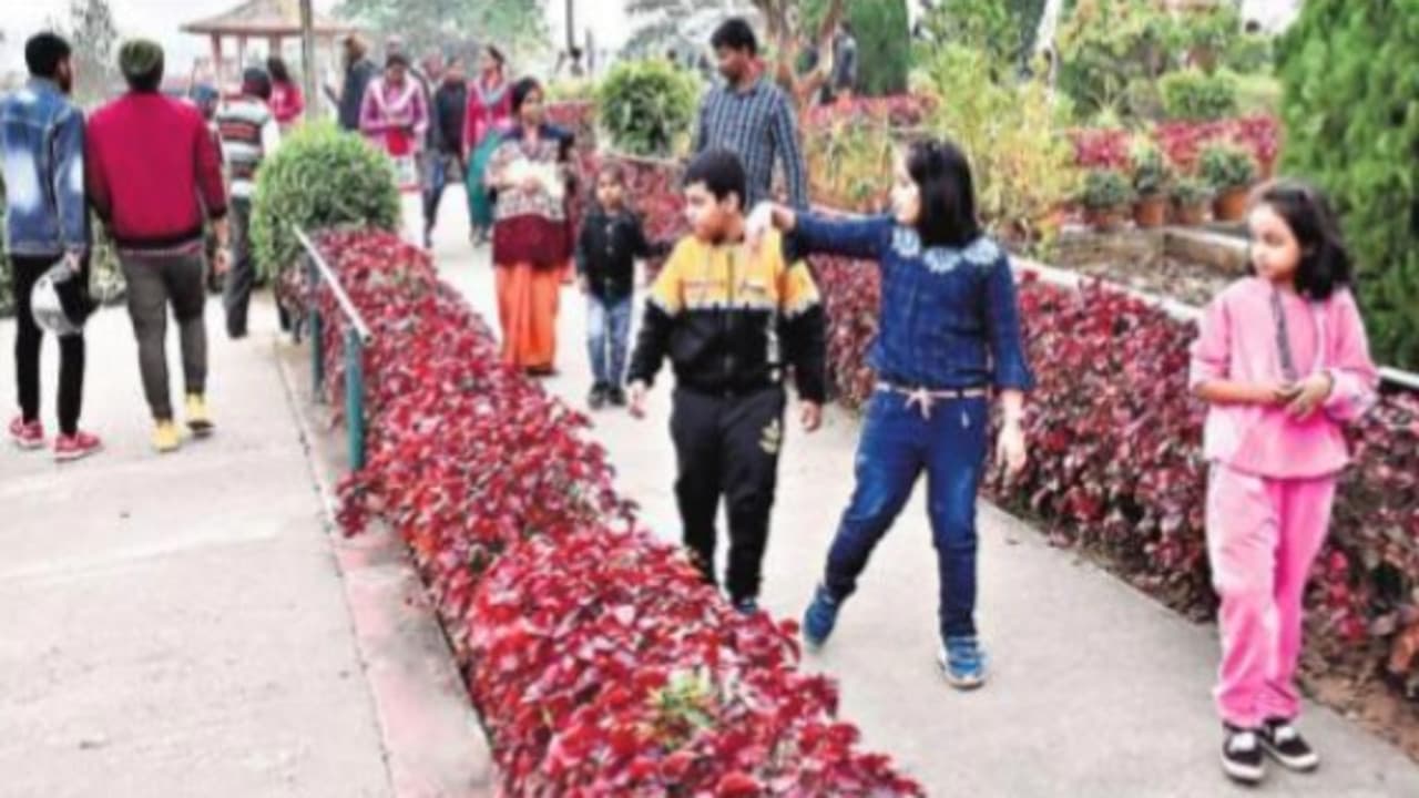 देवघर : न्यू इयर-2024 को लेकर पिकनिक स्पॉट पर बढ़ने लगी रौनक