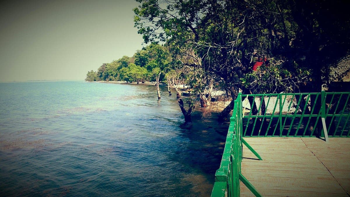 Tour of UP Beach: यूपी के इस बीच पर जाकर भूल जाएंगे गोवा-मालदीव, जानें क्या है खासियत