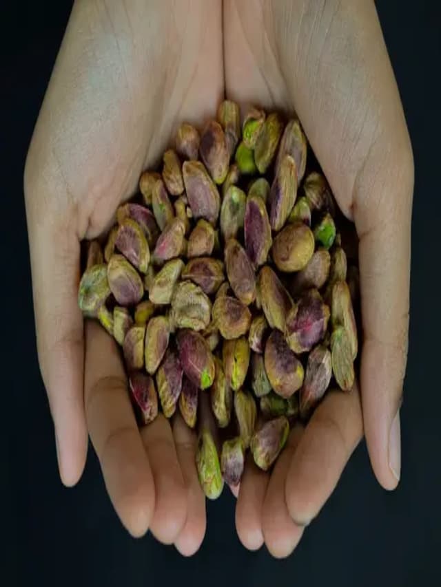 पिस्ता का हेल्थ पावर सर्दियों में करेगा आपकी सेहत की सुरक्षा, रोज खाने के जाने फायदे