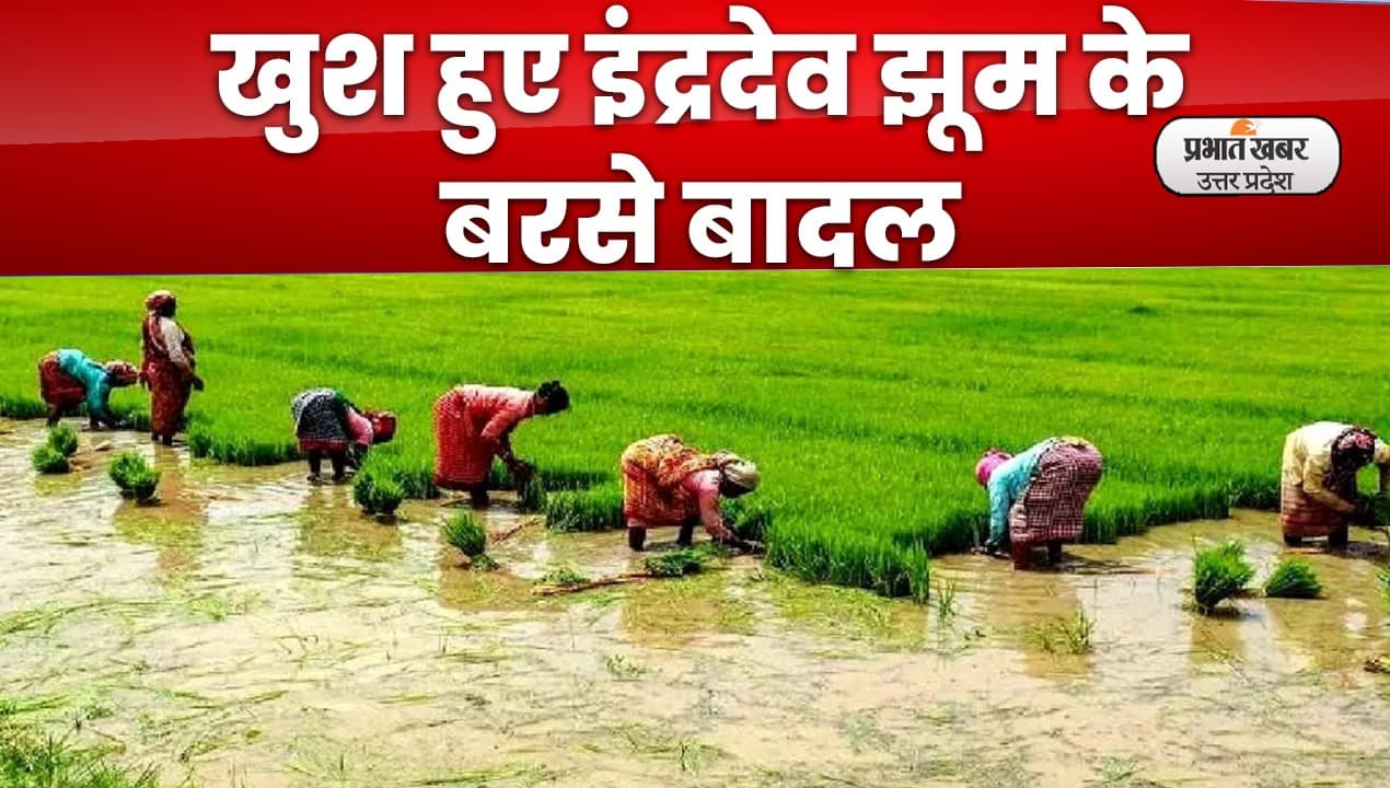यूपी में झमाझम बारिश से किसानों के खिल उठे चेहरे