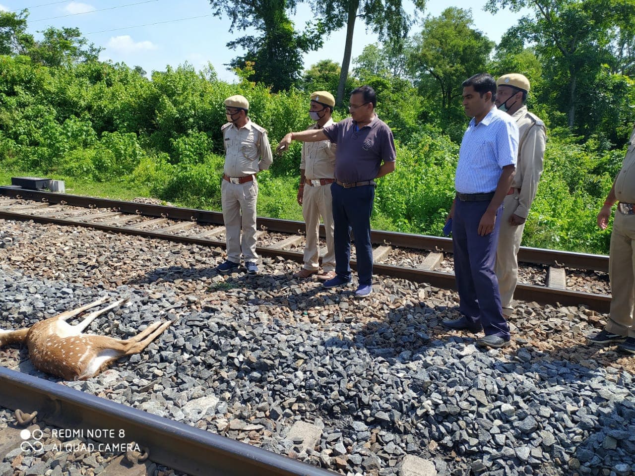 IRCTC/Indian Railway : पलामू में छह हिरणों की ट्रेन से कटकर मौत मामले में हुई कार्रवाई, रेलवे स्टेशन मास्टर समेत पांच के खिलाफ एफआईआर