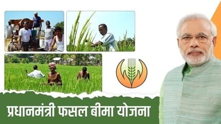 पीएम फसल बीमा योजना देगी किसानों को सुरक्षा, 31 जुलाई से पहले करें आवेदन, जानें कैसे मिलेगा लाभ