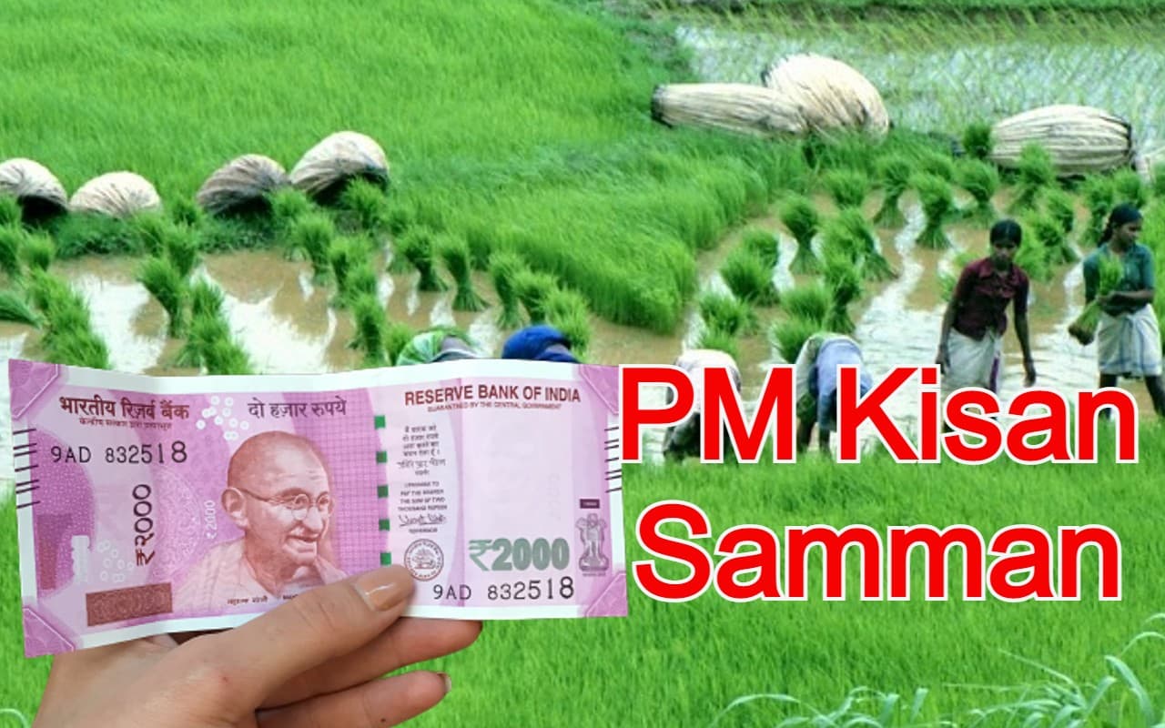 PM Kisan: दिवाली से पहले किसानों को खुश करेंगे PM नरेंद्र मोदी, खाते में ट्रांसफर करेंगे 2000 रुपये