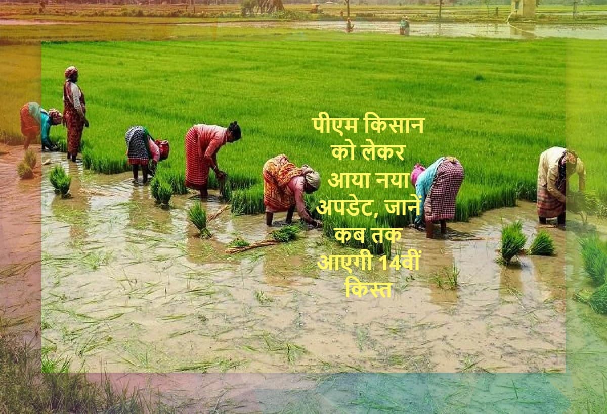 PM Kisan Yojana Update: पीएम किसान को लेकर आया नया अपडेट, जानें कब तक आएगी 14वीं किस्त, कैसे करें अप्लाई