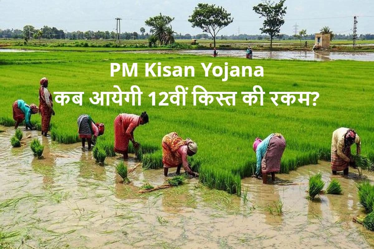 PM Kisan Yojana: कब आयेगी 12वीं किस्त की रकम? आवेदन अपडेट नहीं हो तो अटक सकता है आपका पैसा