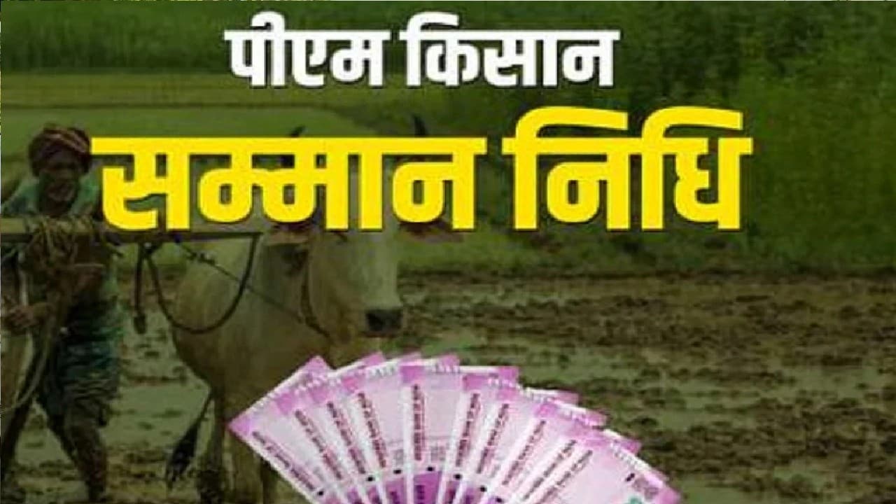 PM Kisan : झारखंड के 30 लाख से अधिक  किसानों को पीएम मोदी 18 जून को देंगे सौगात