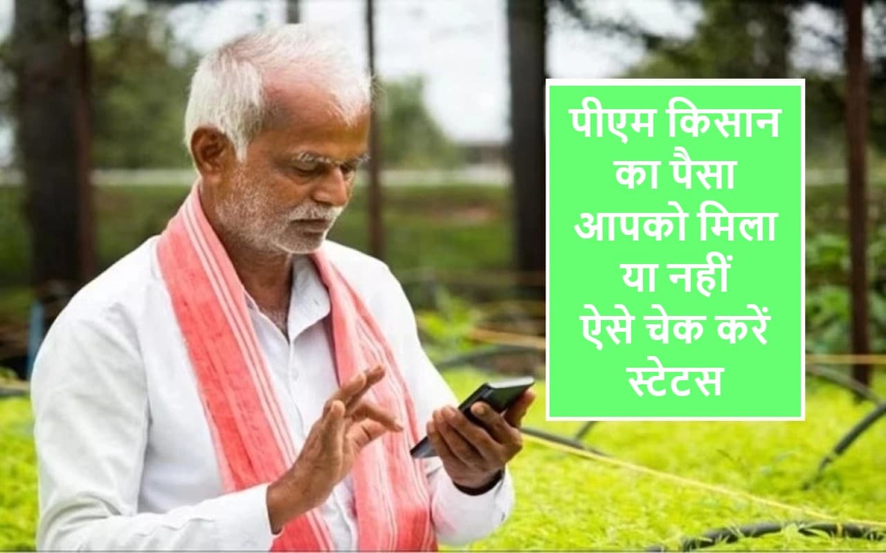 PM Kisan Yojana: आपके खाते में नहीं आयी 15वीं किस्त? करेंगे यह काम, तो मिलेगा समाधान PM Kisan Yojana: आपके खाते में नहीं आयी 15वीं किस्त? करेंगे यह काम, तो मिलेगा समाधान