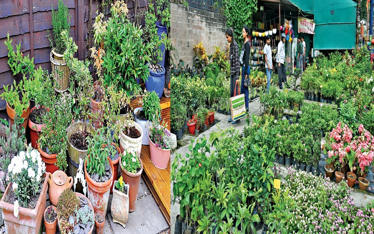 Ranchi News: बारिश के बाद बगिया में आया बहार, बागवानी की तैयारी में जुटे राजधानी रांची के लोग