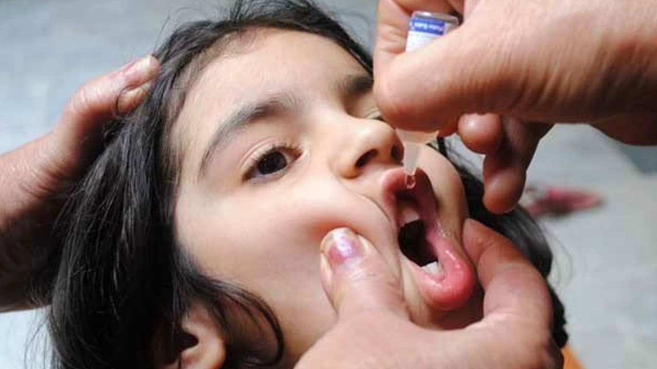 World Polio Day 2024 : विश्व पोलियो दिवस पर विशेष : भारत ने पोलियो पर कैसे पाई विजय!