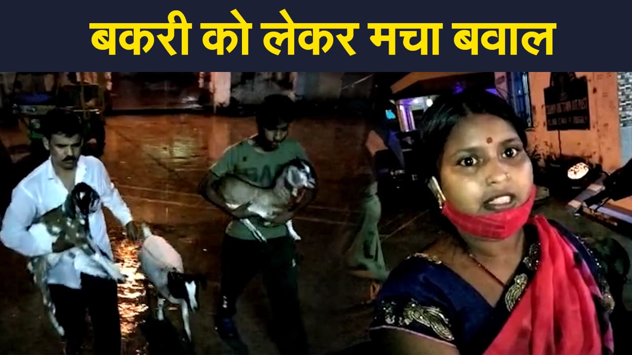 West Bengal News: बकरी को लेकर चांपदानी में उठे विवाद की क्यों हो रही इतनी चर्चा?