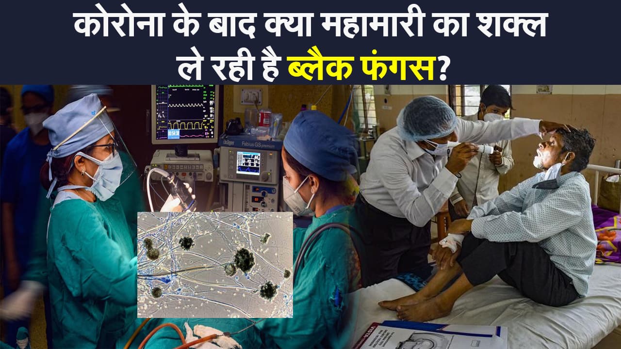कोरोना वायरस से तबाही के बीच Black Fungus के बढ़ रहे मामले, अब ये बीमारी बनेगी महामारी?