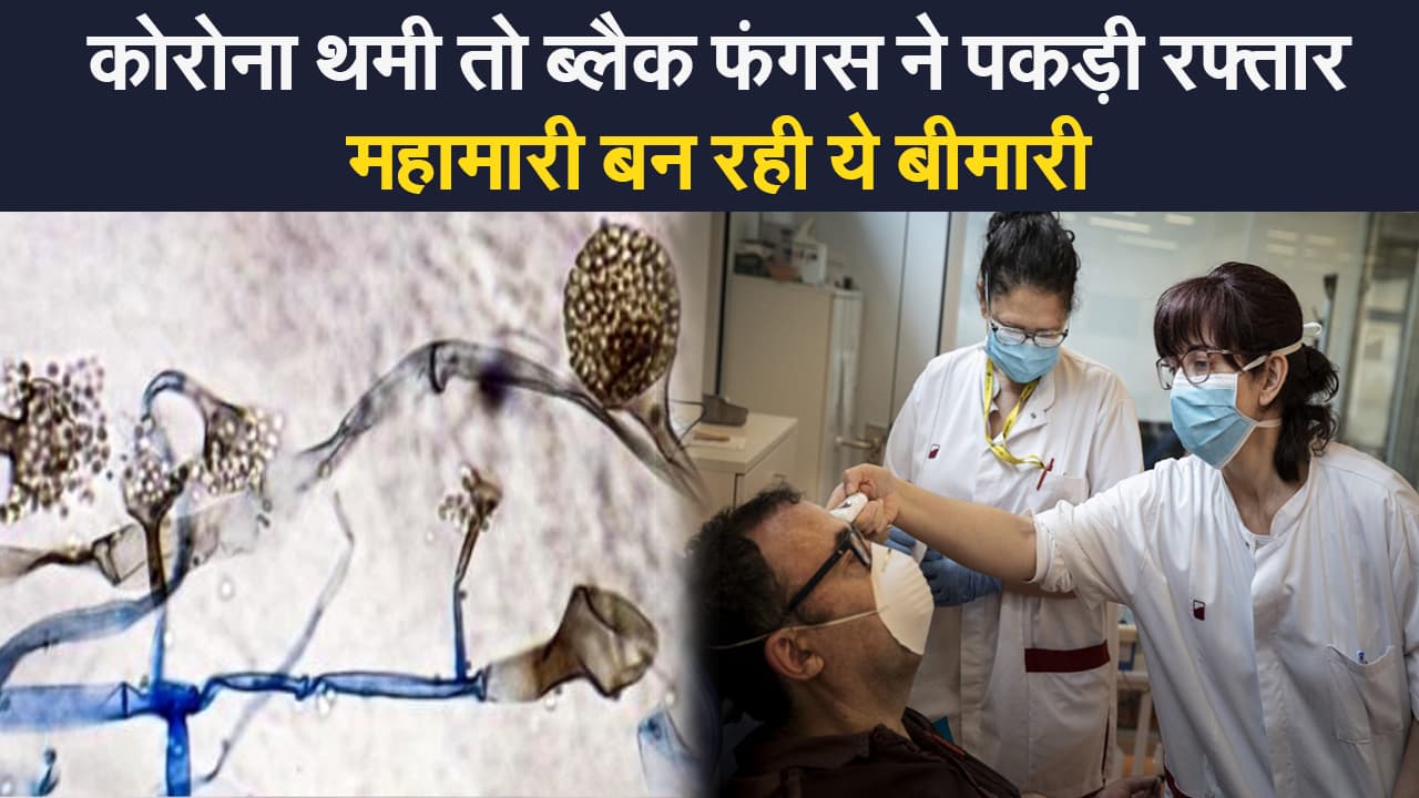Black Fungus India Update: कोरोना के बाद ब्लैक फंगस ने पकड़ी रफ्तार, राज्यों ने अलर्ट किया जारी