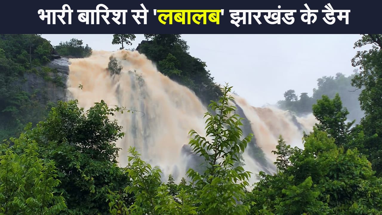 भारी बारिश से 'लबालब' झारखंड के डैम, उफान पर नदी-नाले| VIDEO