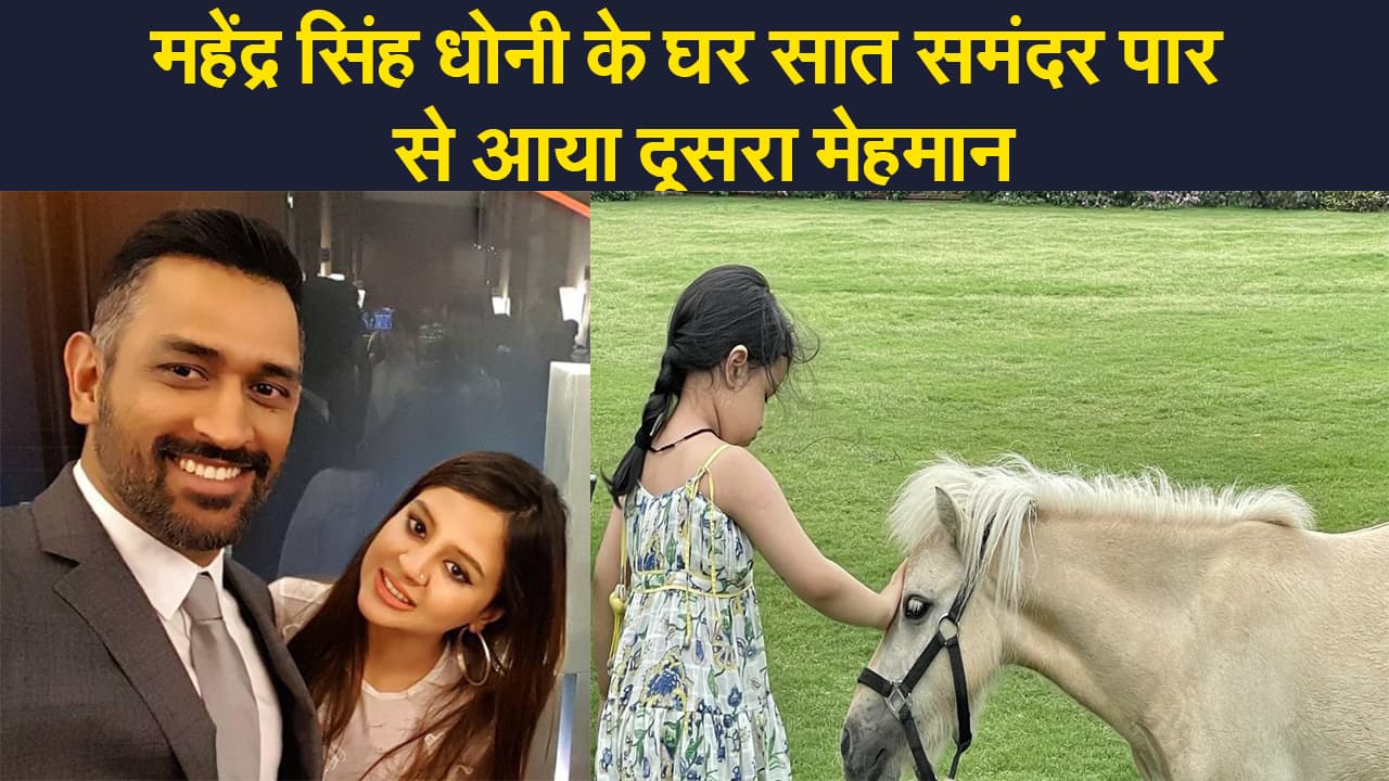 धौनी के घर में सात समंदर पार से आया मेहमान, इंटरनेशनल मार्केट में सबसे ज्यादा इसकी डिमांड