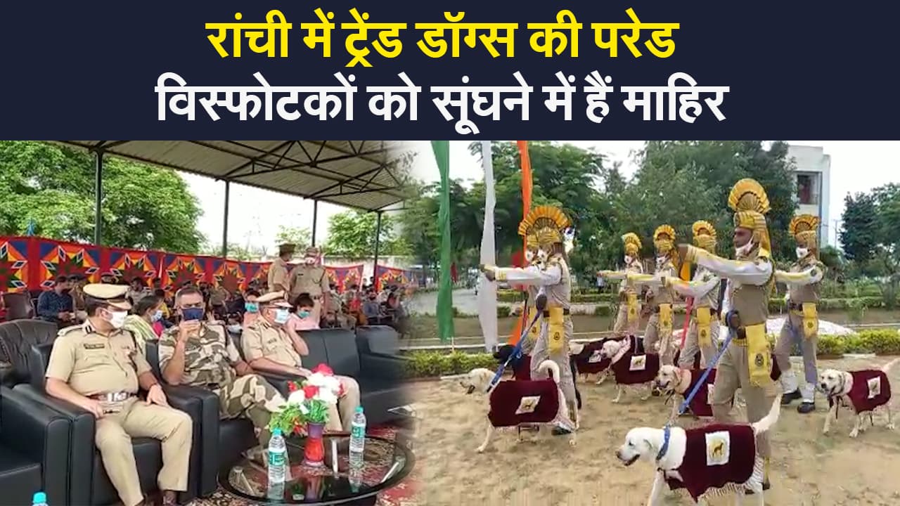Trend dogs parade: रांची के CISF डॉग ट्रेनिंग स्कूल में ट्रेंड डॉग्स ने लगाई परेड, विस्फोटकों को खोजने में हैं माहिर