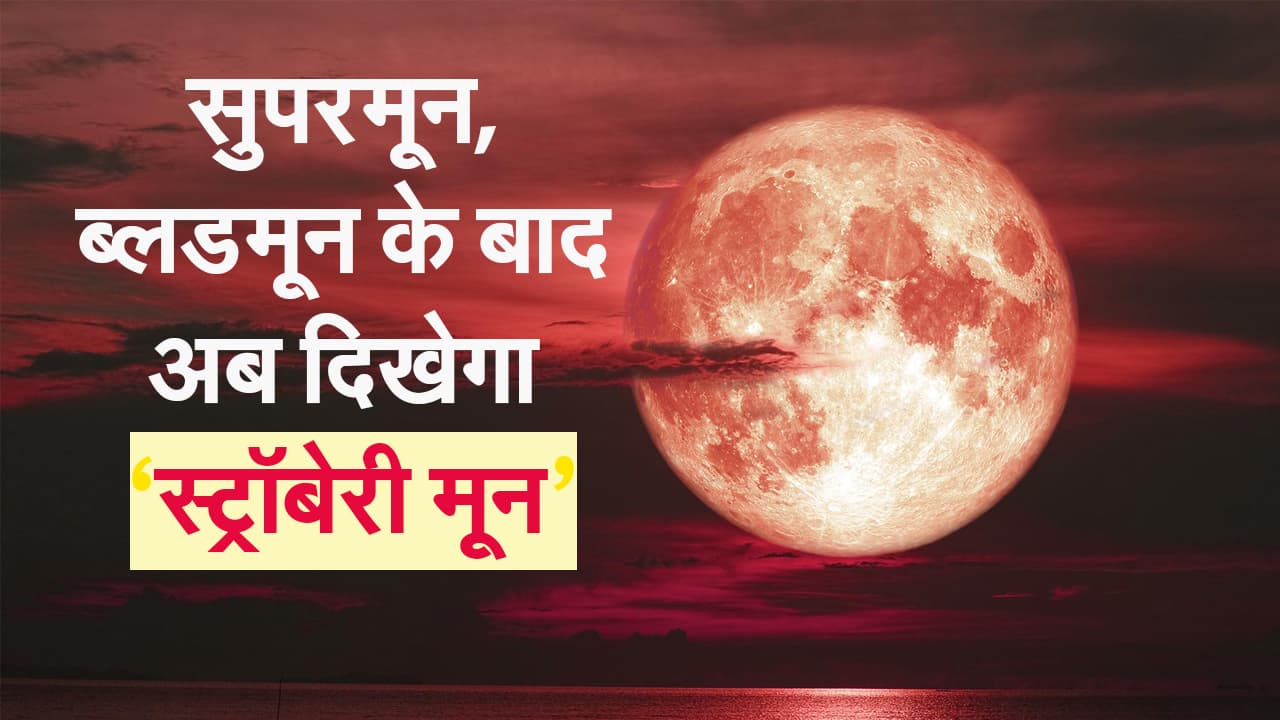 Strawberry Moon: सुपरमून, ब्लडमून के बाद अब दिखेगा ‘स्ट्रॉबेरी मून’, देखने वाले भी हो जाएंगे गुलाबी