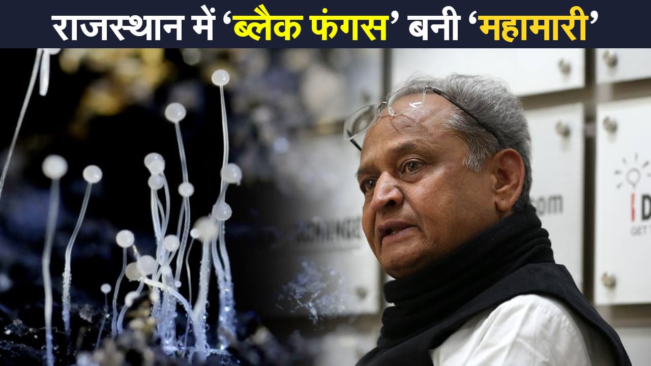 Black Fungus: राजस्थान में 'ब्लैक फंगस' महामारी घोषित, अशोक गहलोत सरकार का बड़ा फैसला