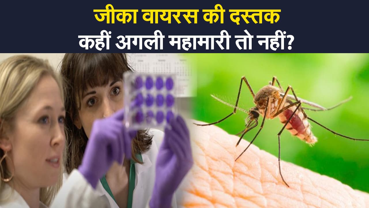 Zika Virus: कोरोना वायरस संकट से जूझ रहे देश में जीका वायरस की दस्तक, कहीं अगली महामारी तो नहीं?
