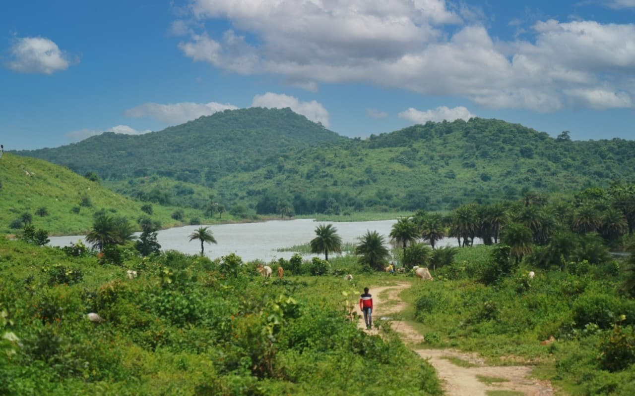 Best Picnic Spot: नये साल पर पिकनिक मनाने का है प्लान तो आइये पलामू, पर्यटकों का सबसे पसंदीदा डेस्टिनेशन