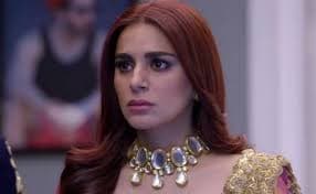 Kundali Bhagya Upcoming Episode : प्रीता पर भड़का करण, इस बात पर हुआ नाराज, आने वाला है नया ट्विस्ट