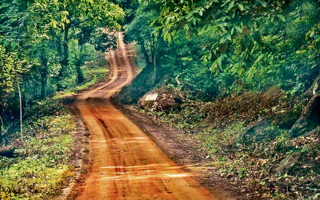 दलमा वन्य प्राणी आश्रयणी में बाइक या स्कूटर ले जाने पर रोक, पर्यटकों के लिए नया रेट लागू
