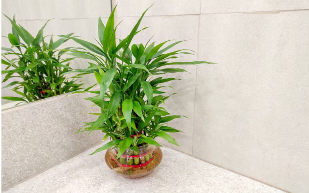 ठंड से बचने के लिए अंगीठी और हीटर जलाते वक्त न करें ऐसी गलती, रहें सावधान