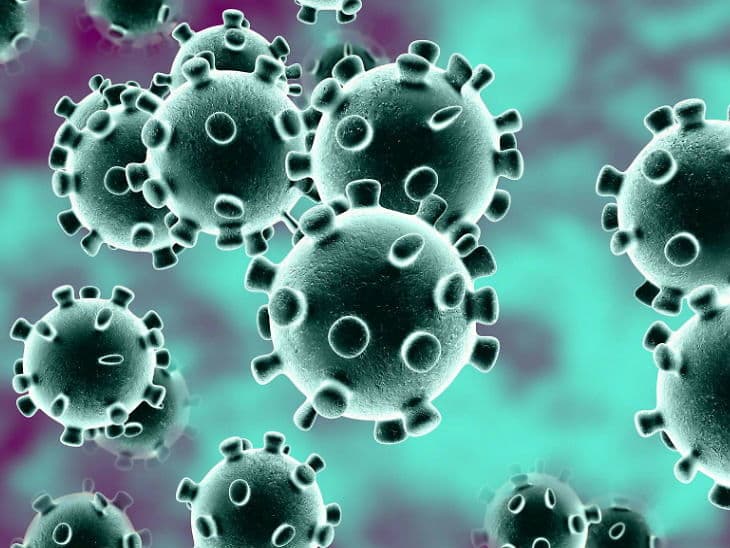 बिहार के सभी जिलों में रविवार से होगी रैपिड एंटीजन किट से कोरोना जांच, आधे घंटे में मिलेगी रिपोर्ट