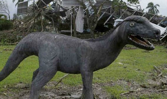 Dinosaurs in India : भारत के इस राज्य में था डायनासोर का डेरा, मिली चौंकाने वाली चीजें, जानें ये खास बात