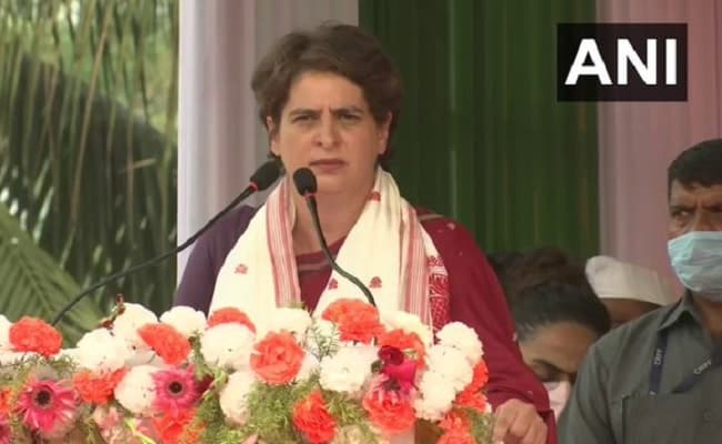 मिशन यूपी : विधानसभा चुनाव को लेकर एक्शन में प्रियंका गांधी, वर्चुअल बैठक में तय होगी रणनीति