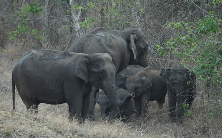 झारखंड : रांची के इटकी में निषेधाज्ञा खत्म, जानें क्यों लगा था धारा 144