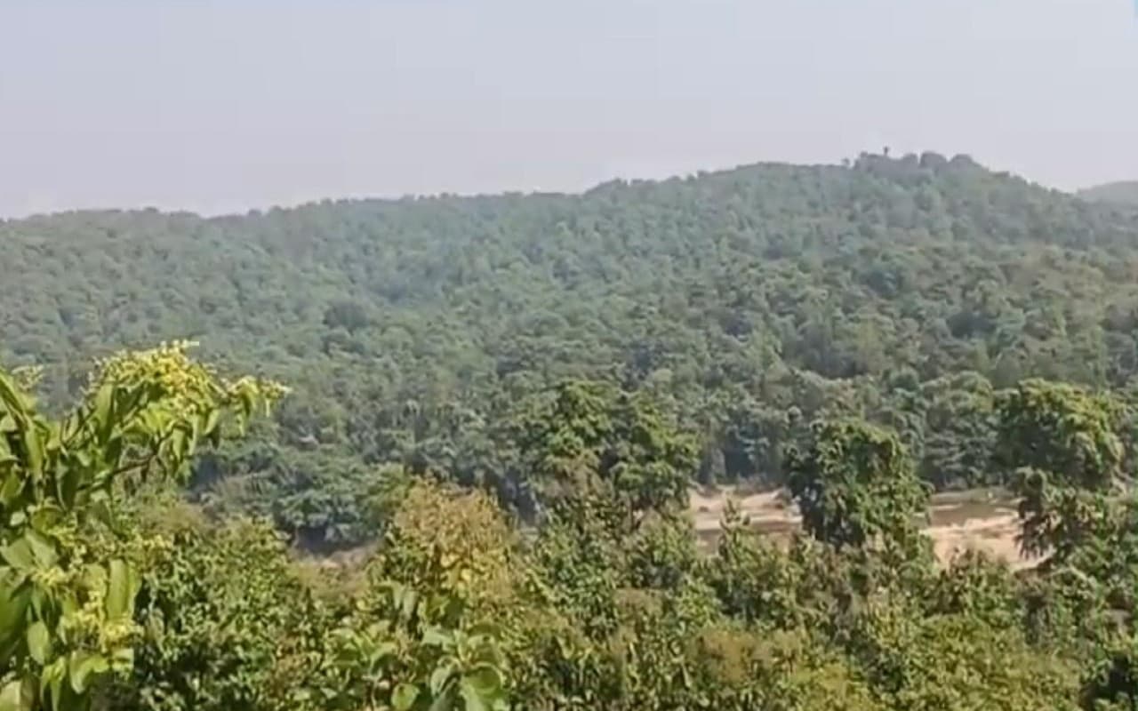 PTR के इतिहास में पहली बार बनी भयावह स्थिति, मानव- वन्यजीव संघर्ष की चुनौती का कर रहा सामना