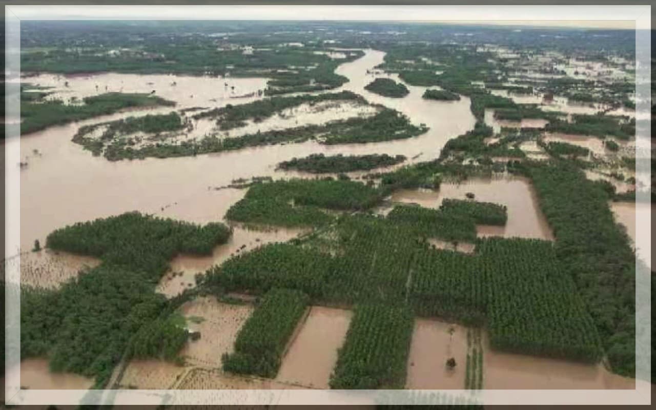 Flood: पंजाब और हरियाणा में बाढ़ से 39 लोगों की मौत, राहत कार्य जारी